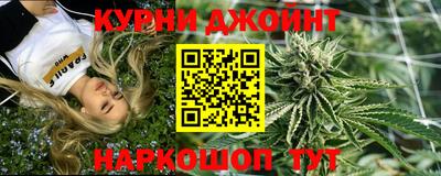 ECSTASY Новозыбков
