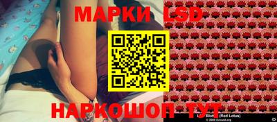 стафф Новокубанск
