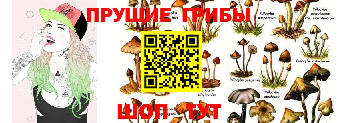 где купить наркоту  Вход с VPN  Троицк  Псилоцибиновые грибы Magic Shrooms 